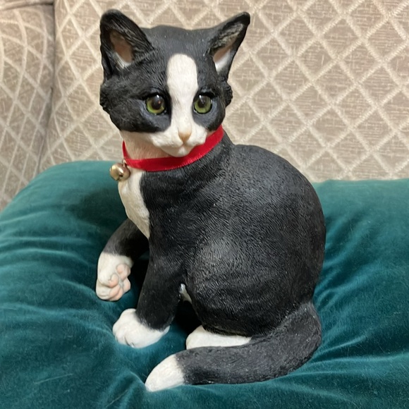 Beautiful black and white kitten sitting - Picture 1 of 11